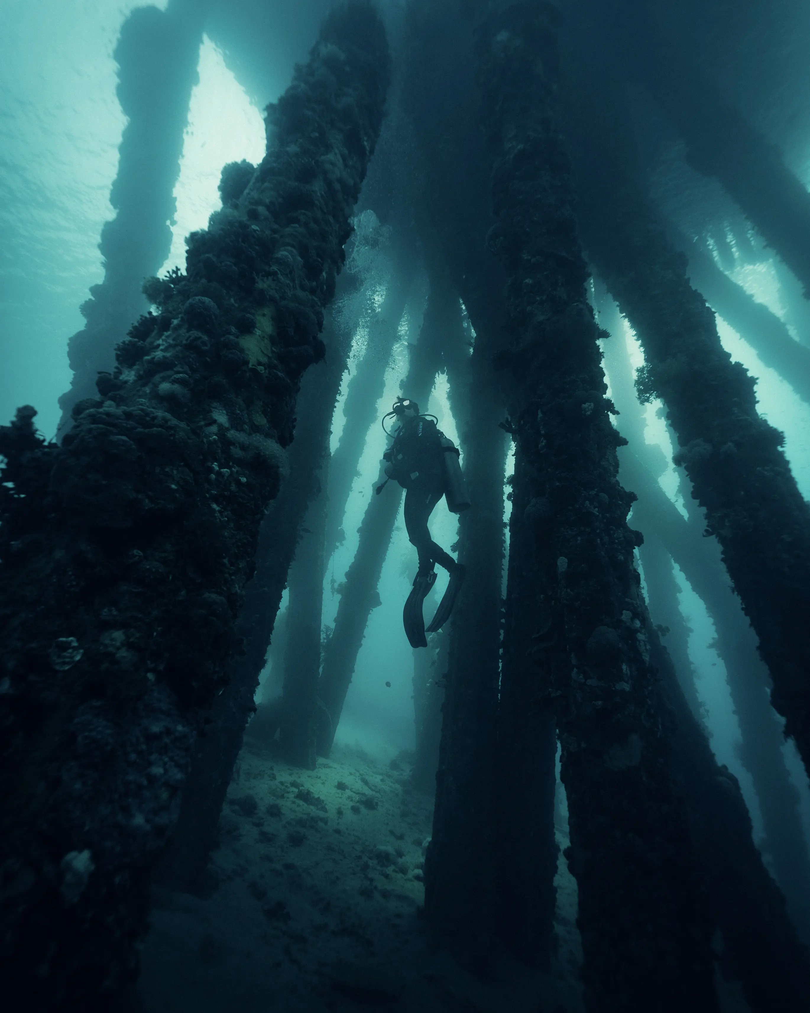 Jordan Jetty Diving
