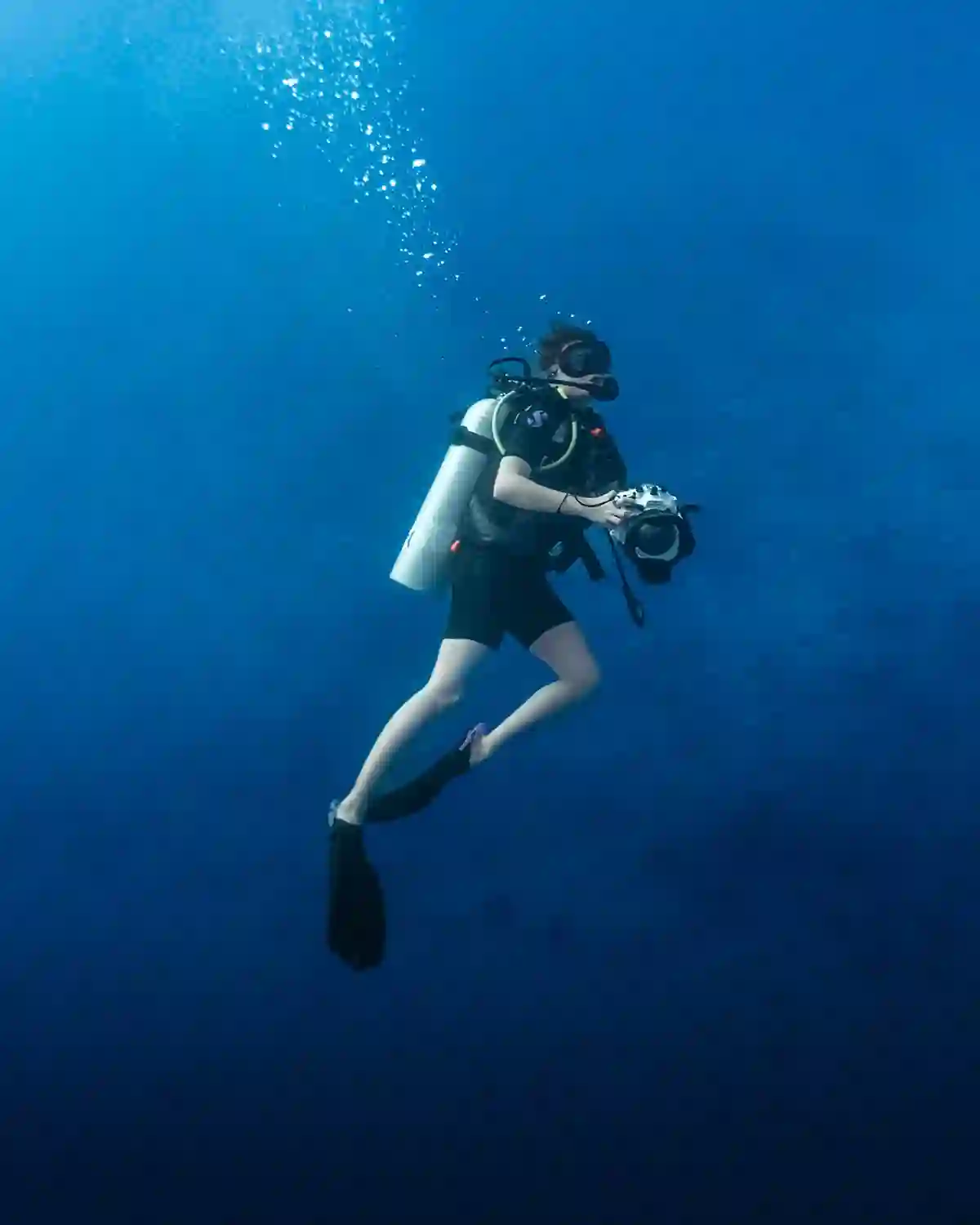 Maldives Dive